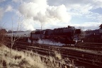 50 3708 Gern