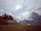 WAB BDhe 118 bWengalp