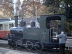 WB D 5 Wald