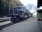 WB D 5b Wald