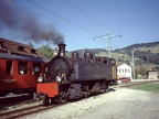 LT D 206b Glov