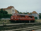 HFHJ V16 Hund