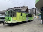 BVB 0081f Vill