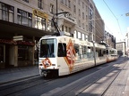 TPG 0808 Mol