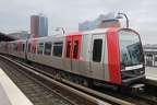 HHA 451 DT5 Baum