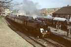 D 80104 Swan