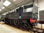 IoW D 41313b Mus-Hav