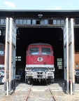 Falk V 232375