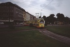 WSB 239 GT6 Hbf