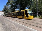 Solea 2022b Foch