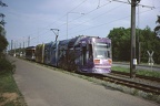 HEAG 09856 ST13 Leu