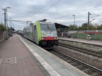 BLS Re486503 App