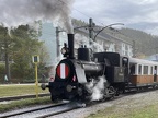MTM D Cn2t-31d Mzell