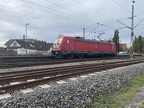 187137 Kork