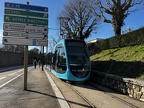 Ginko 807c Urb3 Viotte