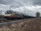 WRSD 183001b Kork