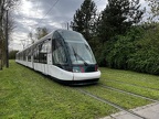 CTS ET 2004c Ling AllFren