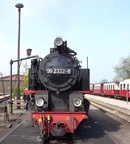 Molli 99 2322d Kuehl-W
