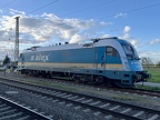 WRSD 183002 Kork