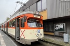 VGF 602 M Schwan
