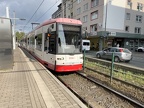 DSW 043 NGT8 Hein
