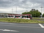 BSVG 9557 GT6S WBrPl