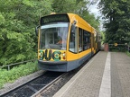 SWN 203 CombD Nea