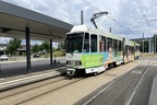 CV 146 KTNF6 Hbf