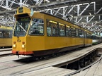 ROVM N0834b ZGT Mus