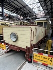 HOVM Wg h14 Mus