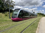 DIVIA 1019 Tois