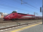 THI TGV-4341 Forest-M