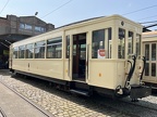 TTO Wg 19537 Pan