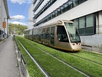 TAO 49 Col