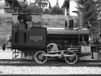 SB CaspHon06 LesHop