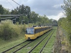 SSB 3391 DT811 bFas