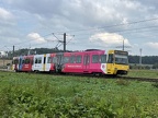 SSB 4171 DT8S bEcht