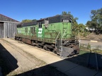 MTM V 06008 BN