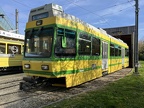 ANAT ET 504 Musee