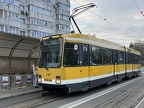 IS 0297 M6D Bac