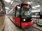 FdBS 3073 GT8N Mus