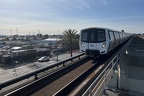 bart D 3071 Col