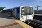 bart D 3101 WOak