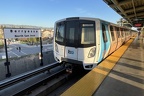 bart D 3034 Berr