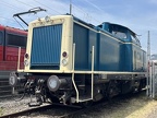 DB-Mus 212372f Mus-KO