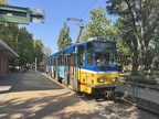SZKT 212b KT4D Tar