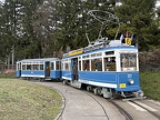 TMZ 0321e Ce44 Zoo