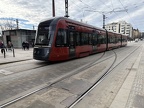 Tamp 08b Häm