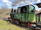 FGF 01b Hen