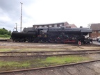CFL 1E 5519e Bw-HU